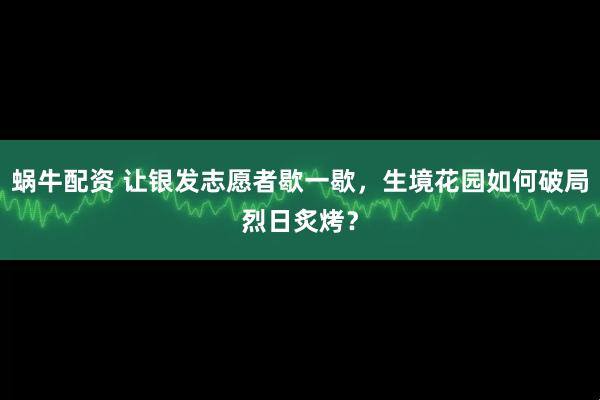 蜗牛配资 让银发志愿者歇一歇，生境花园如何破局烈日炙烤？