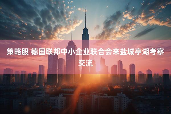 策略股 德国联邦中小企业联合会来盐城亭湖考察交流