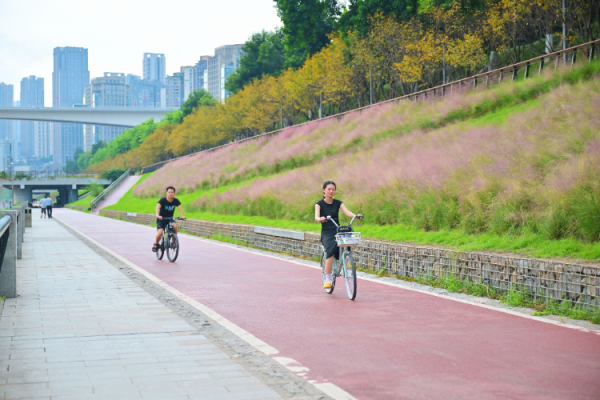 指南针股票 “双节”期间全市城市公园接待游客740.6万人次 同比增长39.31%