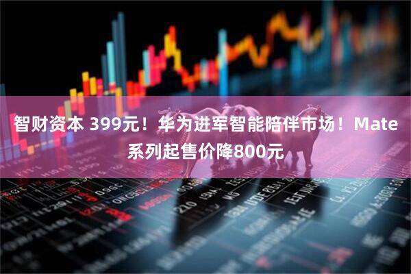 智财资本 399元!华为进军智能陪伴市场!Mate系列起售价降800元